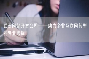 武汉网站开发公司——助力企业互联网转型的专业选择