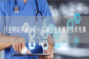 行业网站开发公司，引领行业发展的技术先锋