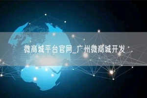 微商城平台官网_广州微商城开发