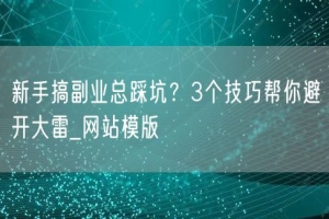 新手搞副业总踩坑？3个技巧帮你避开大雷_网站模版