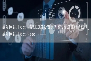 武汉网站开发公司做SEO总没效果？这5个坑你可能踩过_武汉网站开发公司seo