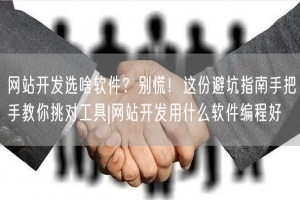 网站开发选啥软件？别慌！这份避坑指南手把手教你挑对工具|网站开发用什么软件编程好