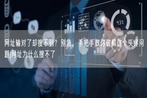 网址输对了却搜不到？别急，手把手教你破解这个头疼问题|网址为什么搜不了