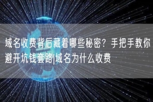 域名收费背后藏着哪些秘密？手把手教你避开坑钱套路|域名为什么收费