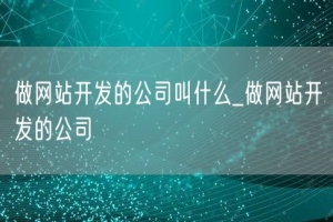做网站开发的公司叫什么_做网站开发的公司