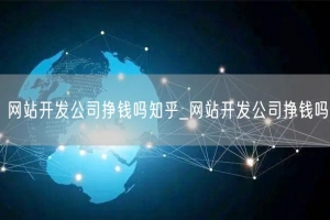 网站开发公司挣钱吗知乎_网站开发公司挣钱吗