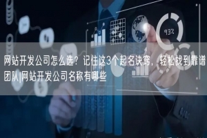 网站开发公司怎么选？记住这3个起名诀窍，轻松找到靠谱团队|网站开发公司名称有哪些