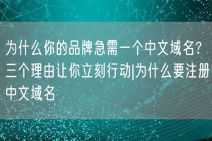 为什么你的品牌急需一个中文域名？三个理由让你立刻行动|为什么要注册中文域名