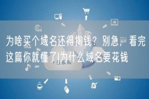为啥买个域名还得掏钱？别急，看完这篇你就懂了|为什么域名要花钱