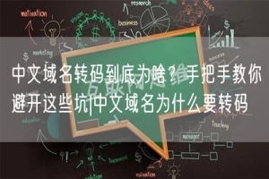 中文域名转码到底为啥？手把手教你避开这些坑|中文域名为什么要转码