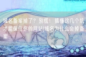 域名备案掉了？别慌！搞懂这几个坑才能保住你的网站|域名为什么