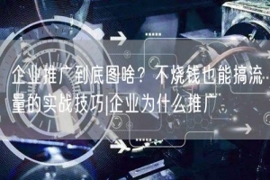 企业推广到底图啥？不烧钱也能搞流量的实战技巧|企业为什么推广