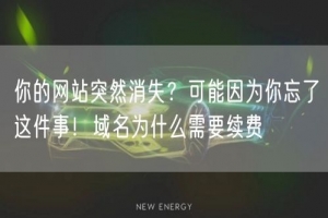 你的网站突然消失？可能因为你忘了这件事！域名为什么需要续费