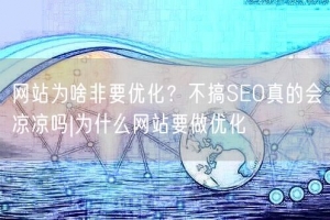 网站为啥非要优化？不搞SEO真的会凉凉吗|为什么网站要做优化