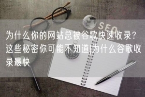 为什么你的网站总被谷歌快速收录？这些秘密你可能不知道|为什么